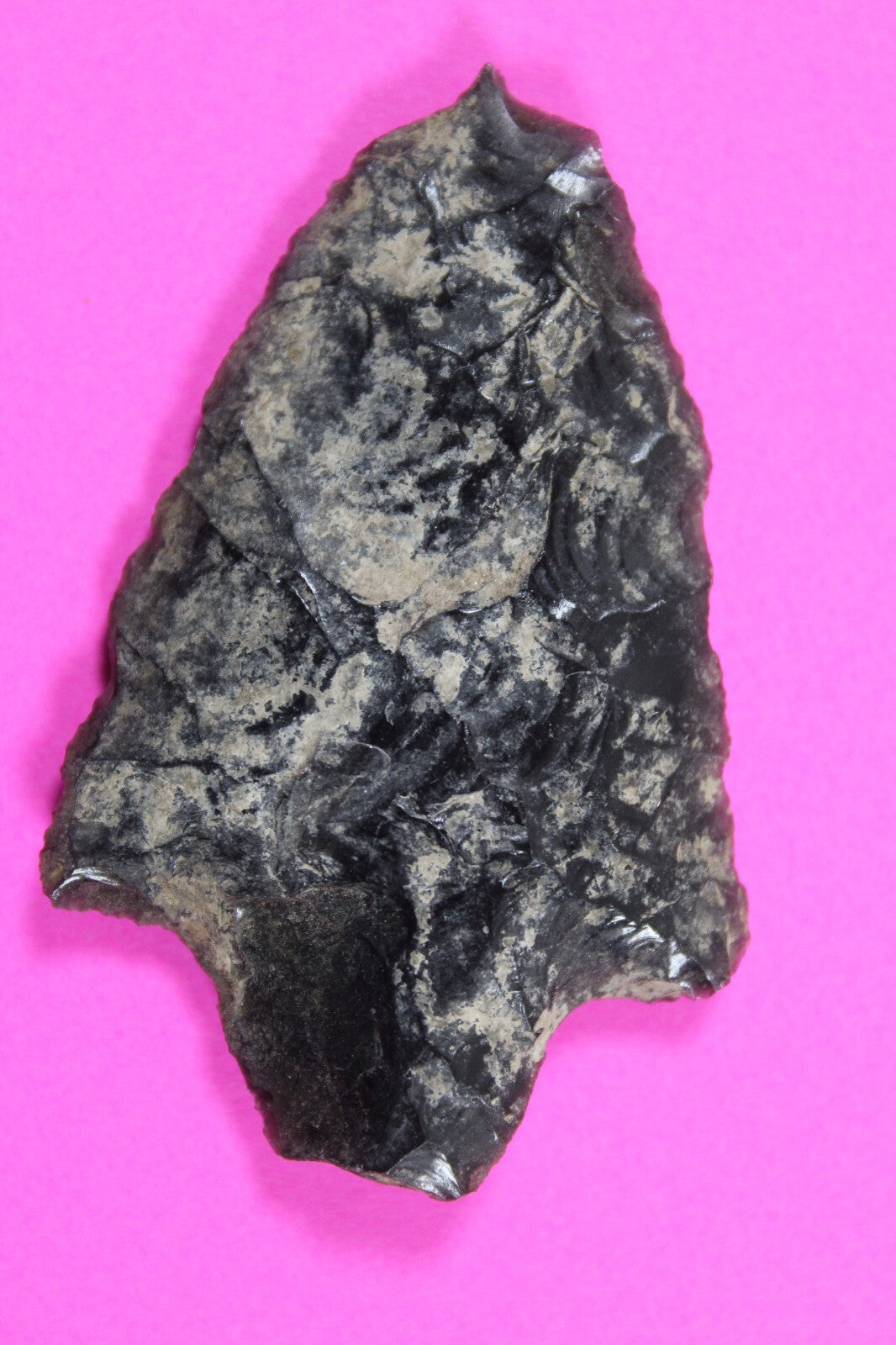 Authentic Pre Columbian Artifact Aztec Arrowhead Battle of Mexico City COA 03