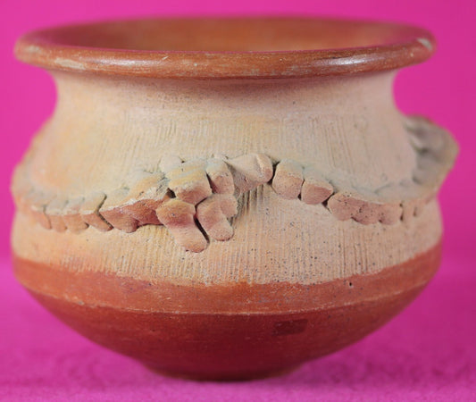 Authentic Pre Columbian Artifact Lizard Jar Chorotega Ex Arte Primitivo COA T120