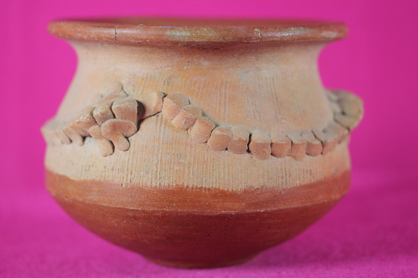 Authentic Pre Columbian Artifact Lizard Jar Chorotega Ex Arte Primitivo COA T120