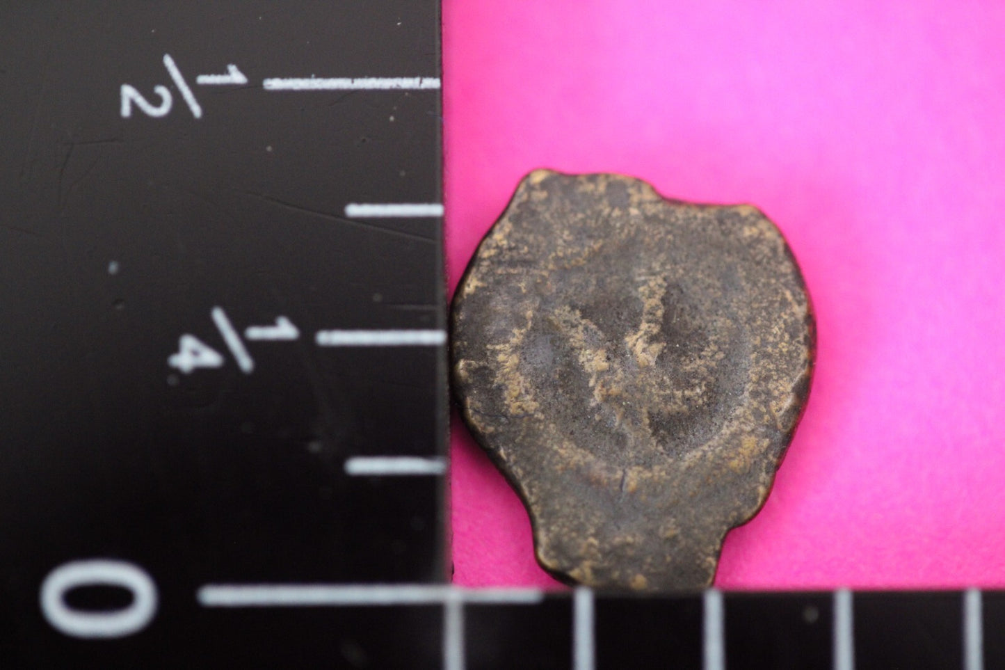 Authentic Jesus Christ Era Holy Land Widow's Mite Artifact 50 BC - 50 AD COA 020