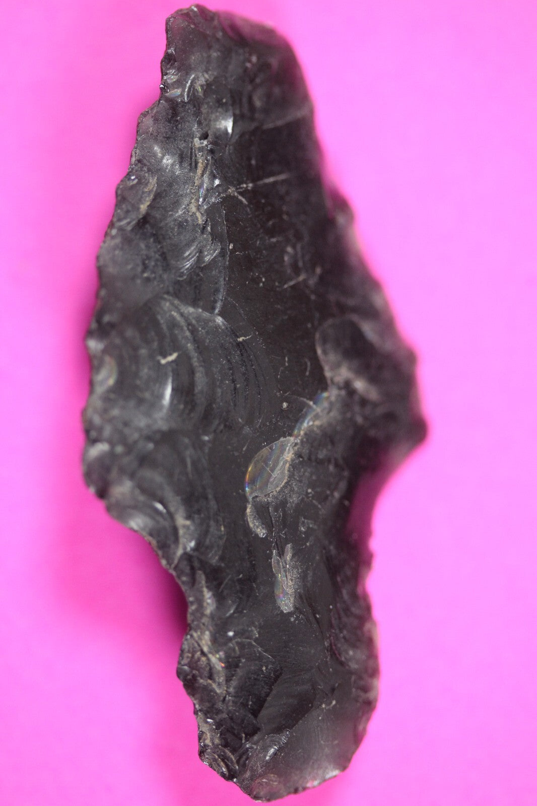 Authentic Pre Columbian Artifact Aztec Arrowhead Battle of Mexico City COA 20