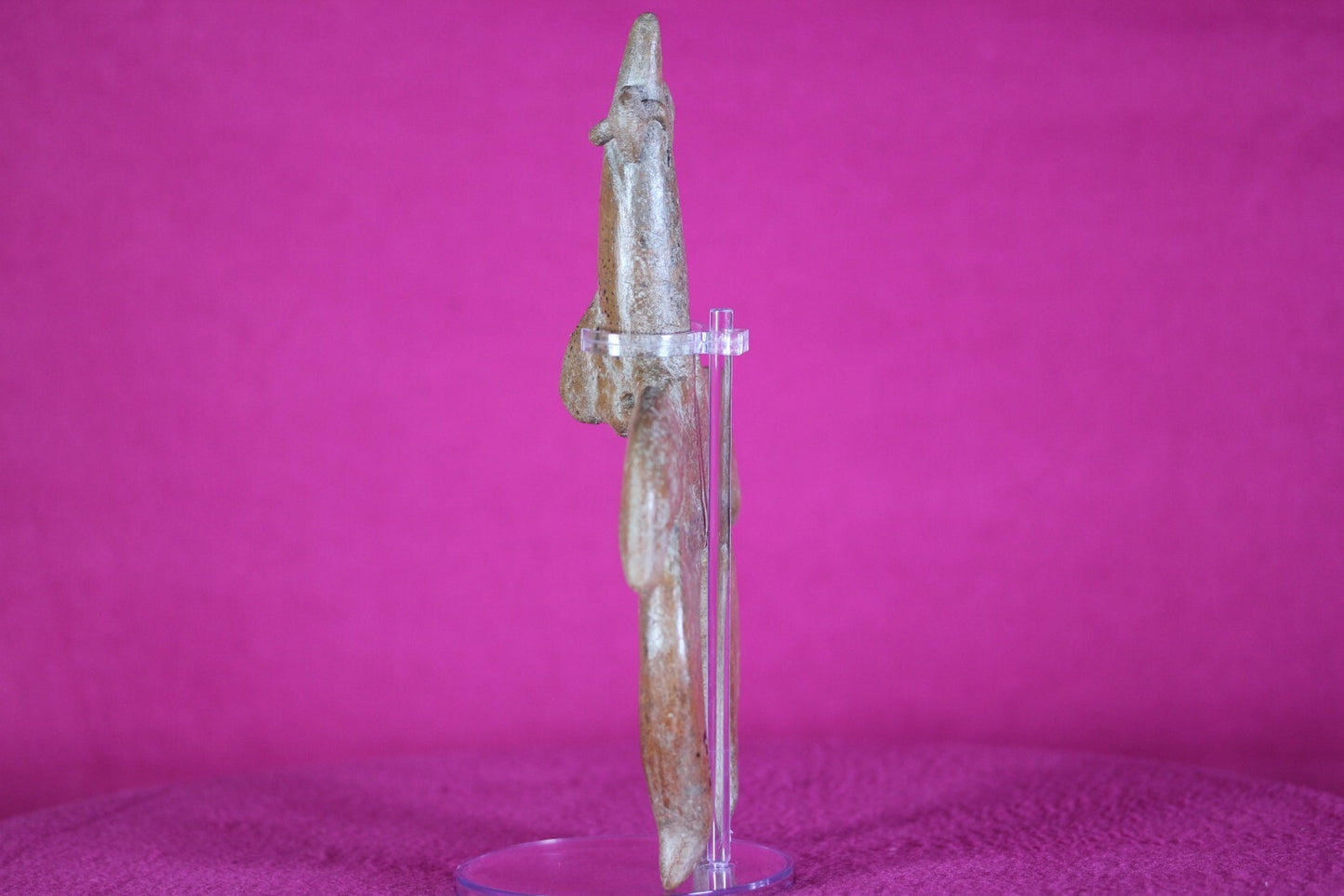 Authentic Pre Columbian Artifact Tomb Figure Colima Ex Arte Primitivo COA T32