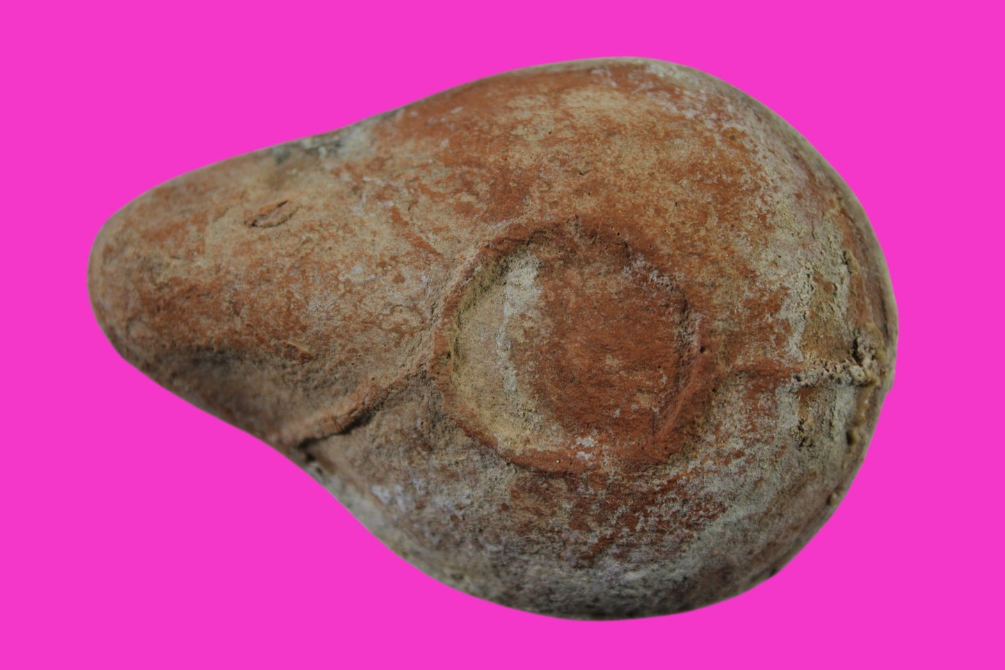 Ancient Holy Land Oil Lamp Artifact Jesus Christ Homeland  100 - 400 AD COA L03