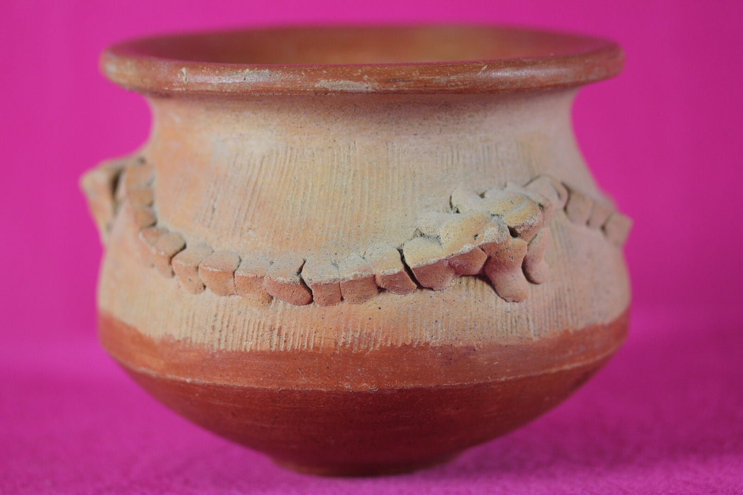 Authentic Pre Columbian Artifact Lizard Jar Chorotega Ex Arte Primitivo COA T120