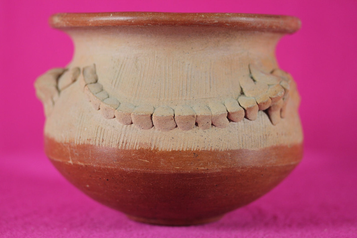 Authentic Pre Columbian Artifact Lizard Jar Chorotega Ex Arte Primitivo COA T120