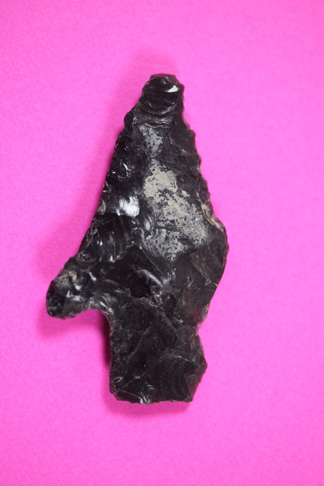 Authentic Pre Columbian Artifact Aztec Arrowhead Battle of Mexico City COA 69