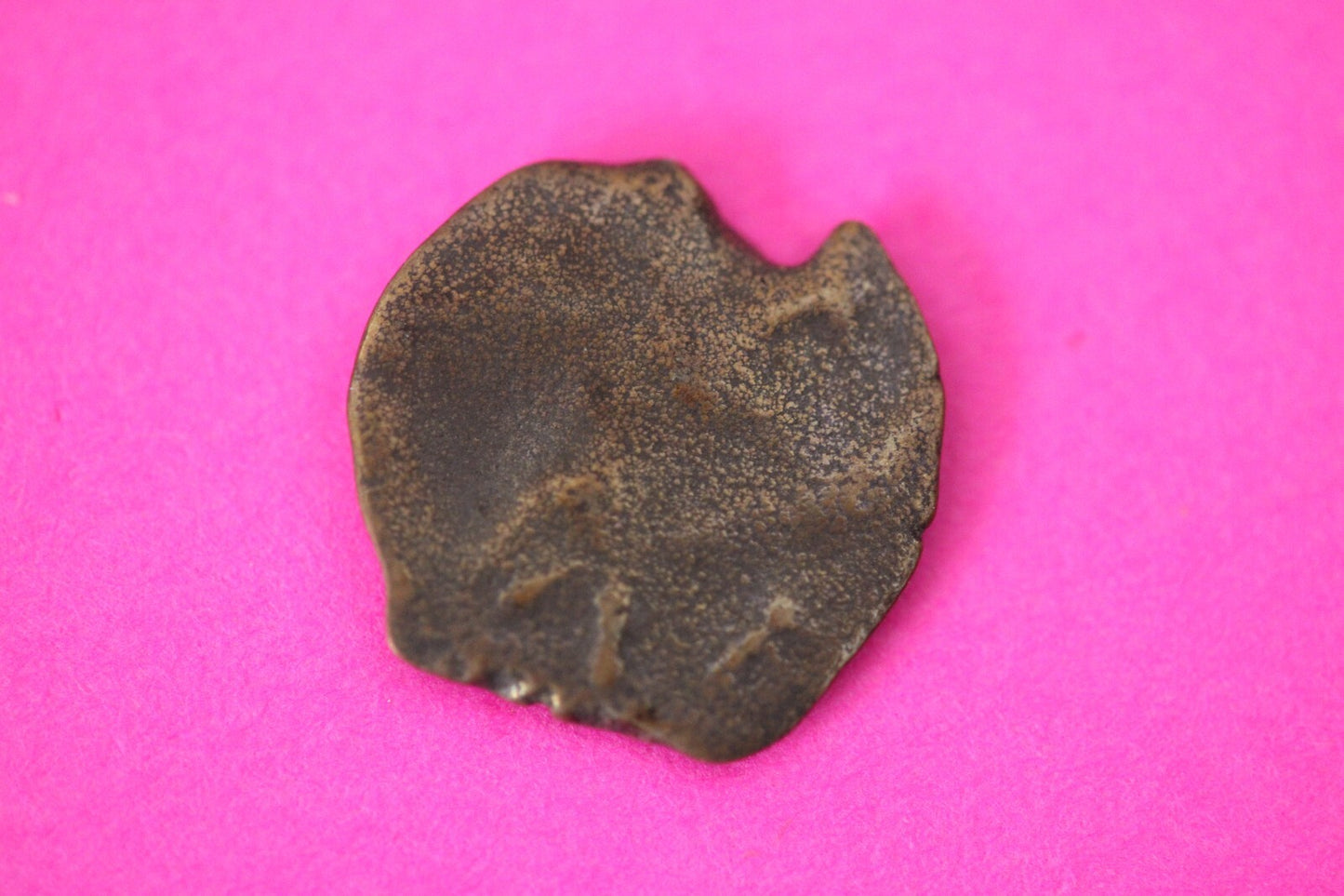 Authentic Jesus Christ Era Holy Land Widow's Mite Artifact 50 BC - 50 AD COA 011