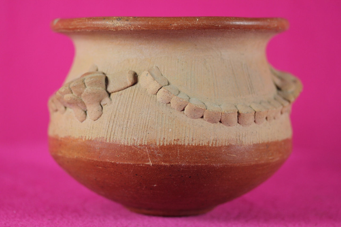 Authentic Pre Columbian Artifact Lizard Jar Chorotega Ex Arte Primitivo COA T120