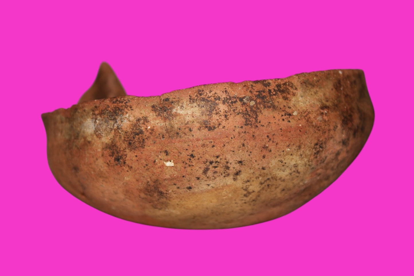 Ancient Holy Land Artifact 4000 Year Old Cup Time of Abraham 2000 BC COA J113