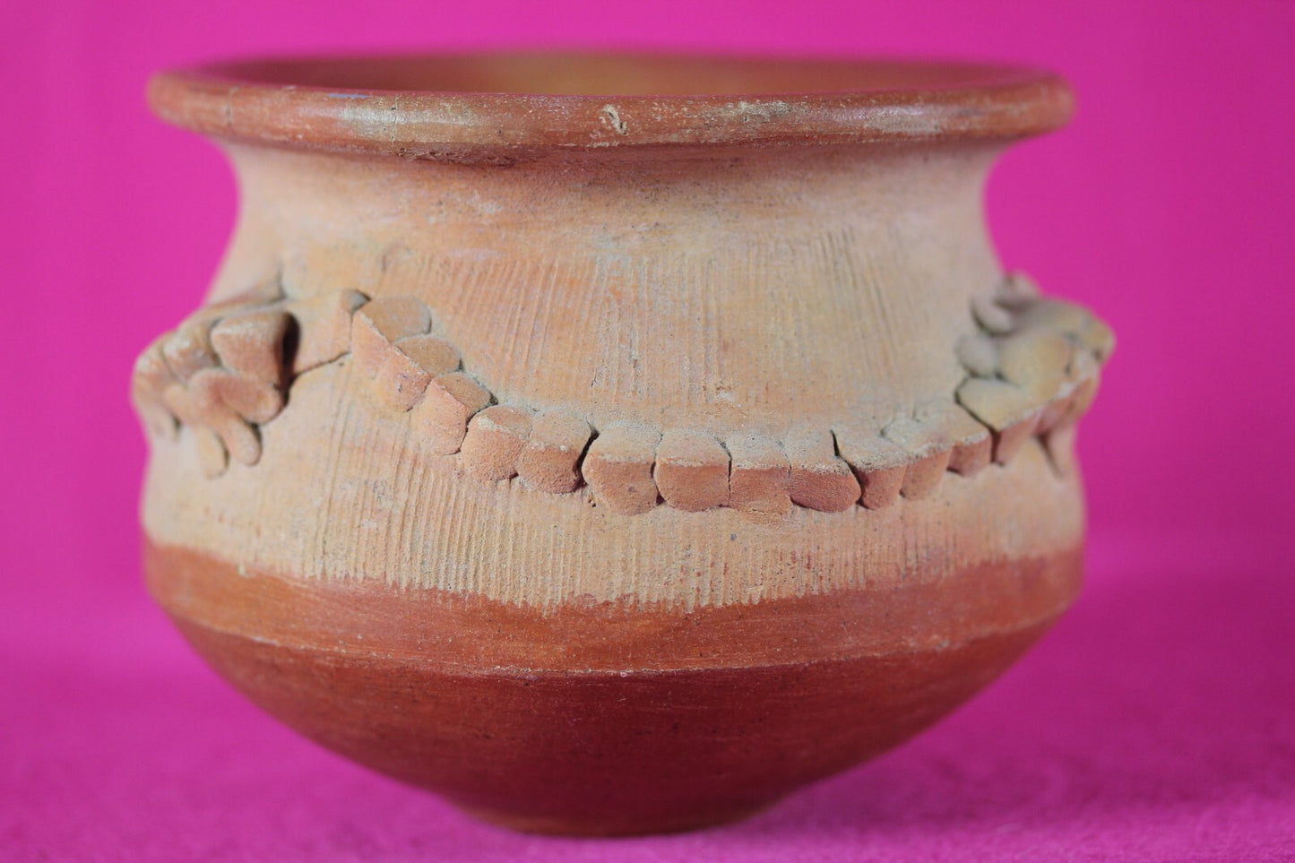 Authentic Pre Columbian Artifact Lizard Jar Chorotega Ex Arte Primitivo COA T120