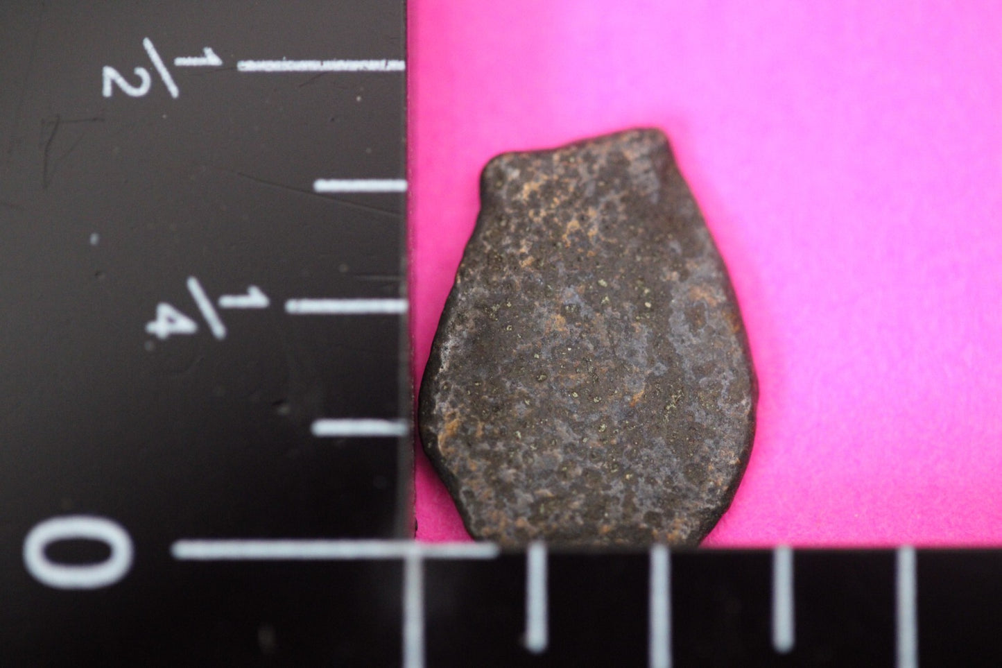 Authentic Jesus Christ Era Holy Land Widow's Mite Artifact 50 BC - 50 AD COA 025