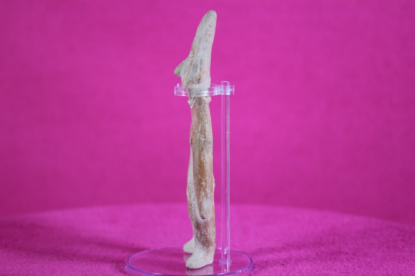 Authentic Pre Columbian Artifact Tomb Figure Colima Ex Arte Primitivo COA T78