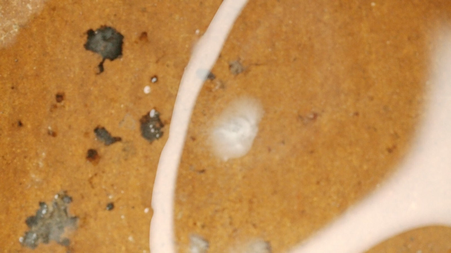 Authentic Pre Columbian Artifact Decorated Mayan Bowl 250 900 AD Yucatan COA T1